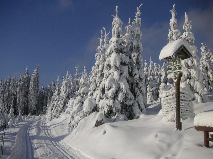 Villa Silva - Oberhof Oberhof  Luaran gambar